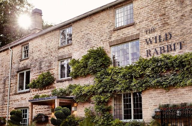 The Wild Rabbit