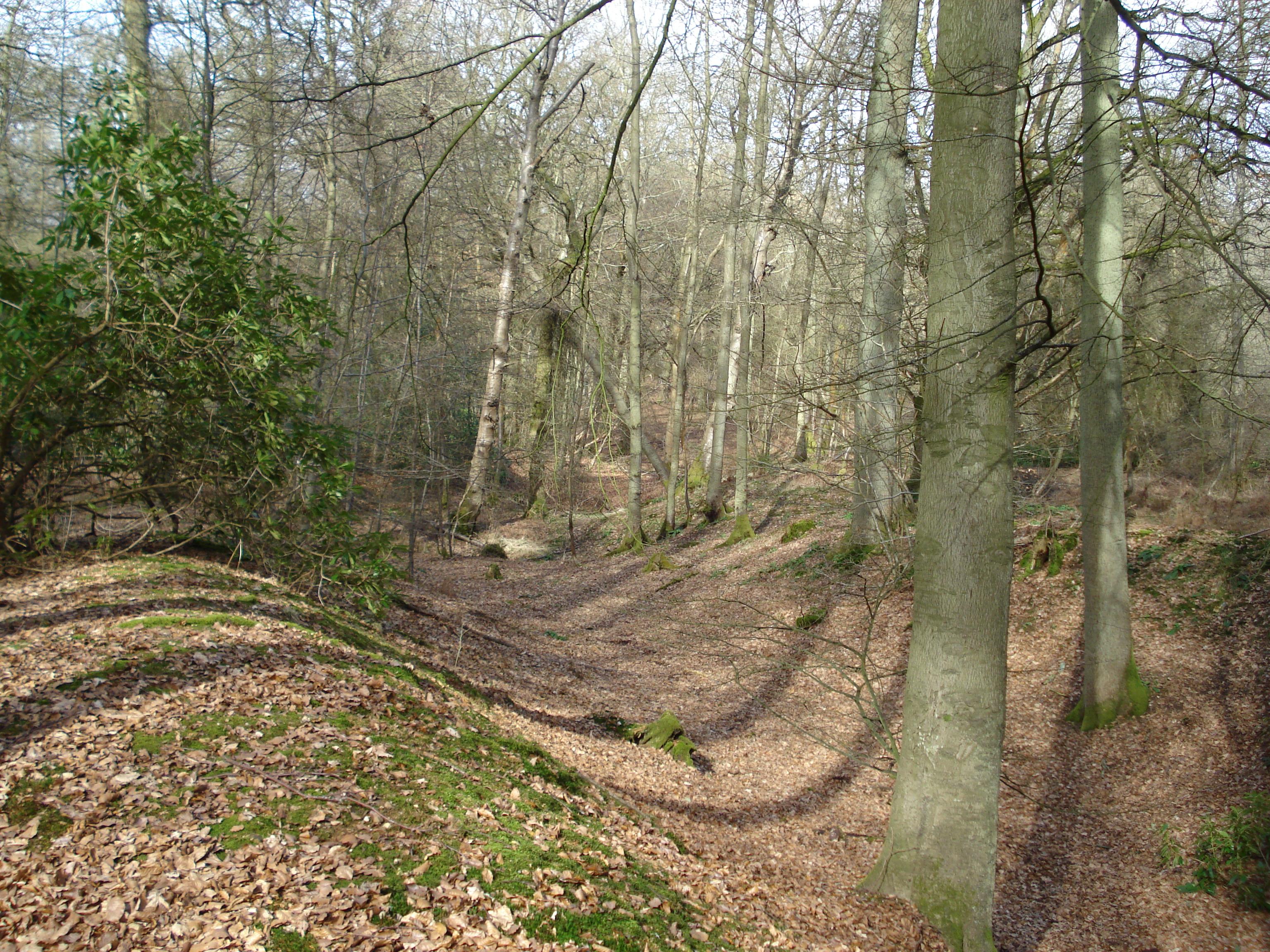 Castle Grove Camp