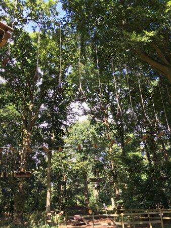 High Ropes Oxford