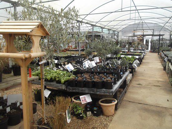 The Herb Farm