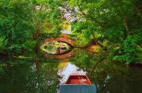 Hennerton Backwater